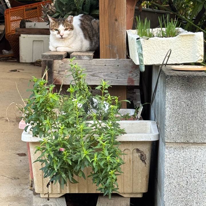 7b123aa7 bb12 4156 9820 2875e7fa8c4c 1758416004501