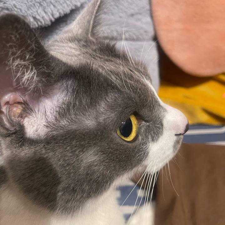 7b123fa0 0744 461f b505 123ff4f8c8ce 1744393880359