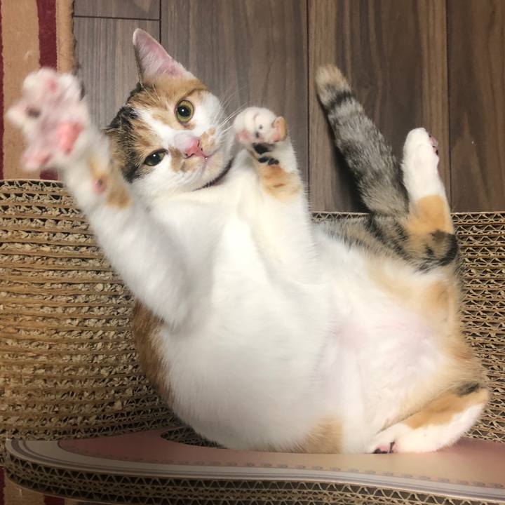 7b124268 640a 4cdb 9968 31e71fbcb74e 1574688782763