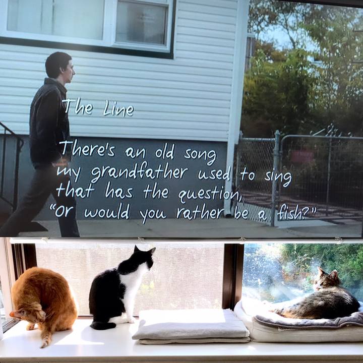 7b12bb6d 91ec 4da4 b0c5 df09b828bf52 1541823071234