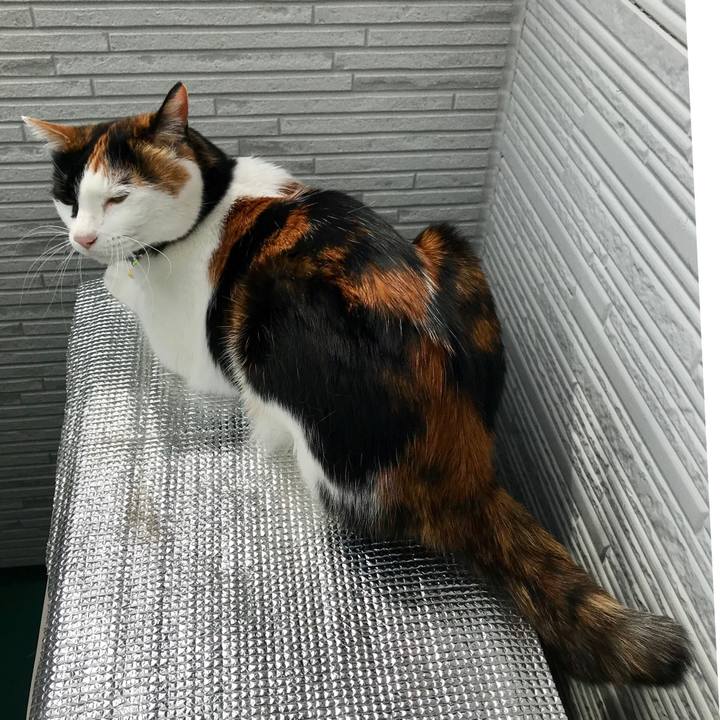 7b12dad4 130d 4c22 a125 8472c8f1bda5 1555479318098