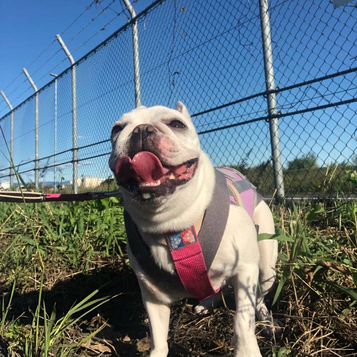 7b1368ff 004f 497c aefb 7b6e954f56ac 1570935419038