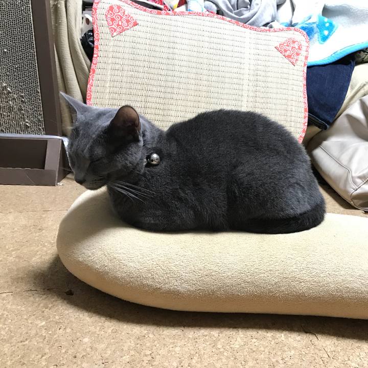 7b1383b8 d1a2 4f69 976a 3de44e62a550 1508854160641