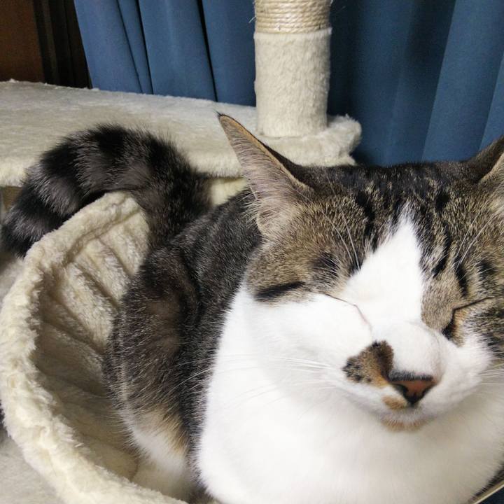 7b13a512 c03a 42f9 8a7e c8fd1b4d9c24 1652014818364