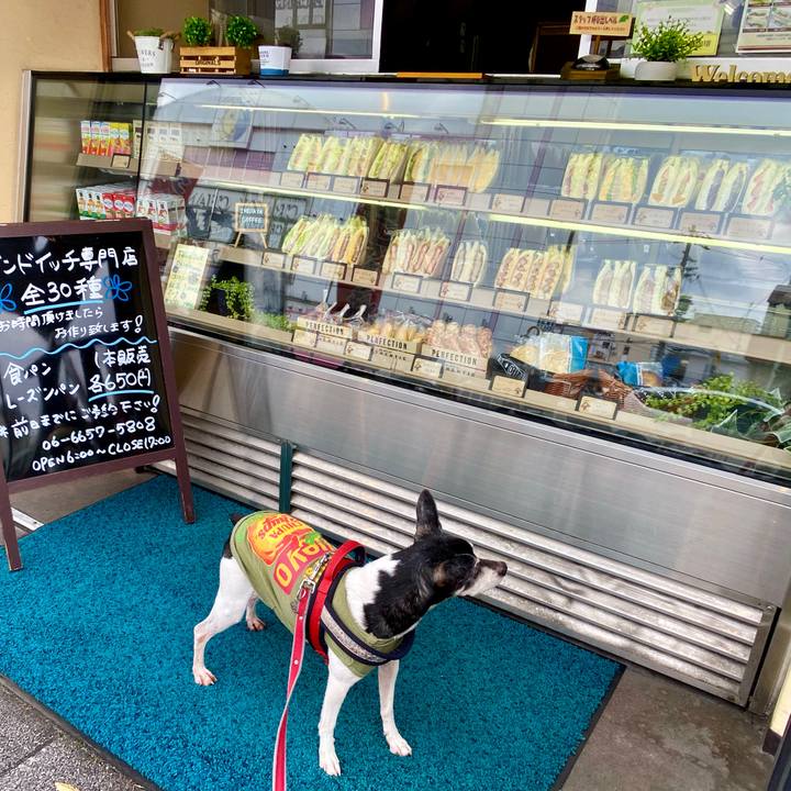 7b13dd90 1137 43f1 966e a8aee6d4bc23 1587176507647