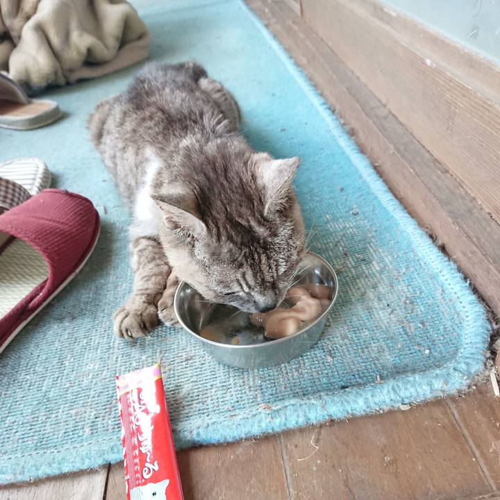 7b143c5c 51fb 42f3 883f c7056b13c3ea 1598429567006