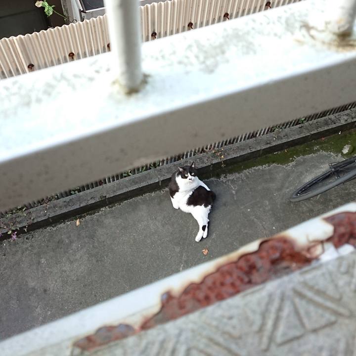 7b143e1d 314a 4817 a4a3 c3ae3fdd5c6f 1630141048654