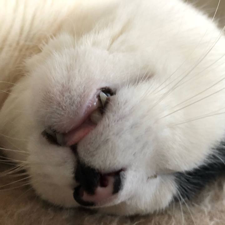 7b146cfe 91ed 4cfa 9922 822a116feaeb 1548801722090