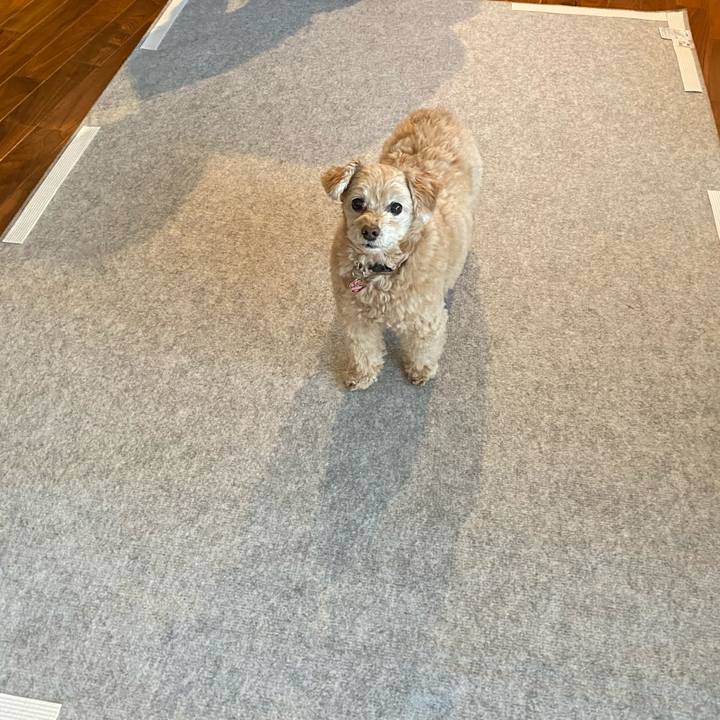 7b14800b a4cc 43f6 aff3 558728792adb 1611450043767