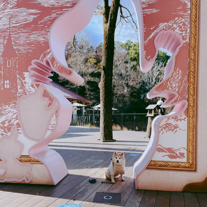 7b14912d 7dae 4465 839e d4307cdeec5e 1639378039700