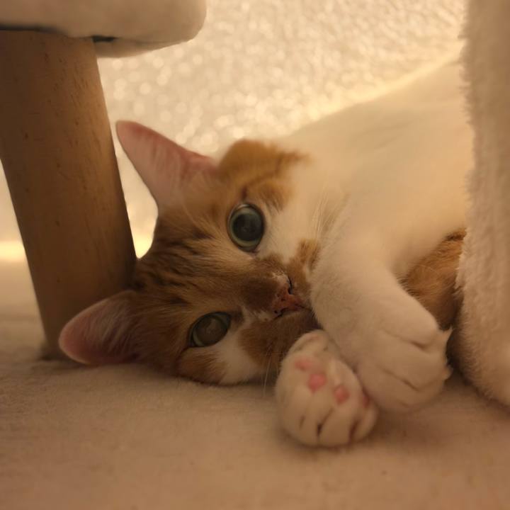 7b1498a3 a830 4616 accc 96aa00363a0d 1760660122001