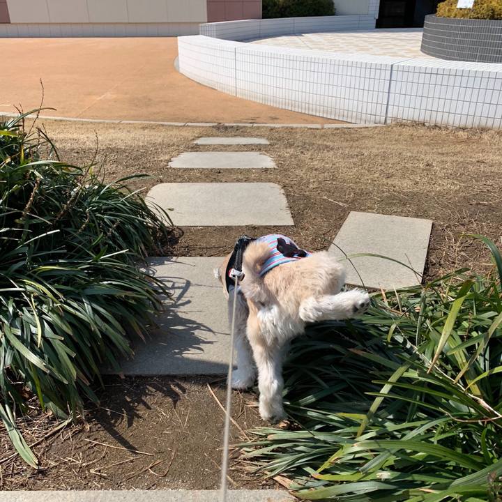 7b14aa8b e1aa 4cf2 9f51 d07d6beeb18d 1551786890395