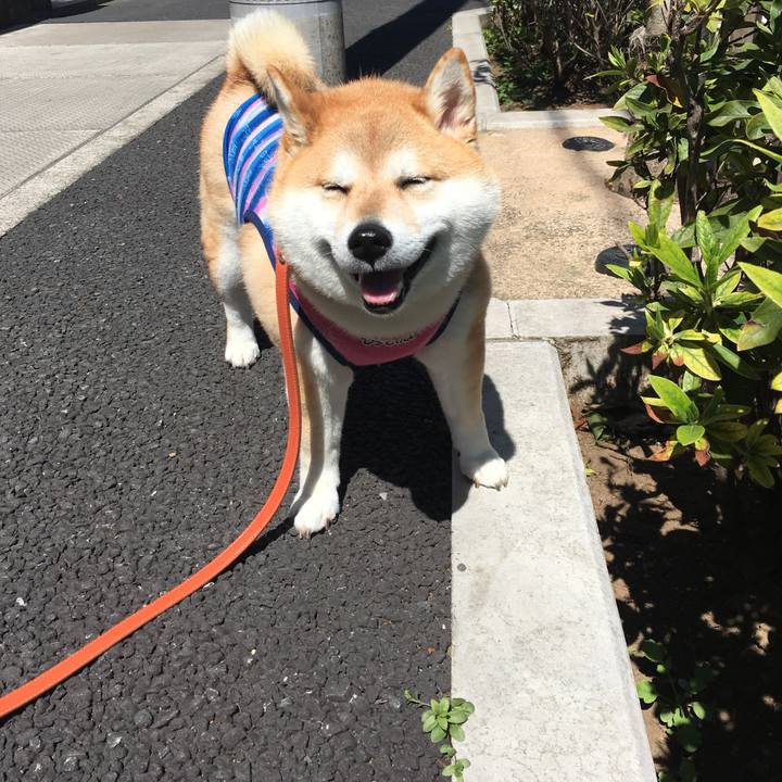 7b14b1e4 850b 4afe 9833 a6575402fe42 1554349137984