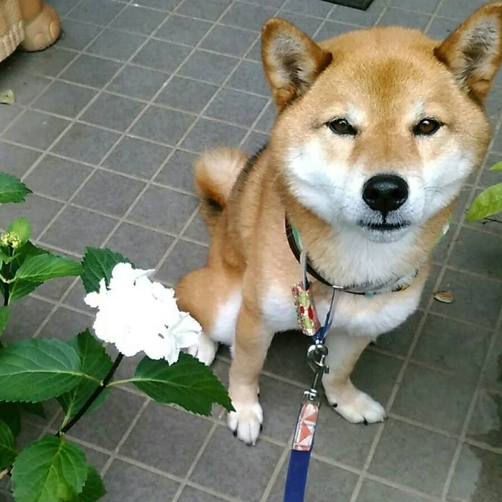 7b14c44e 4315 4451 a356 aa4adce38bc7 1560299438921