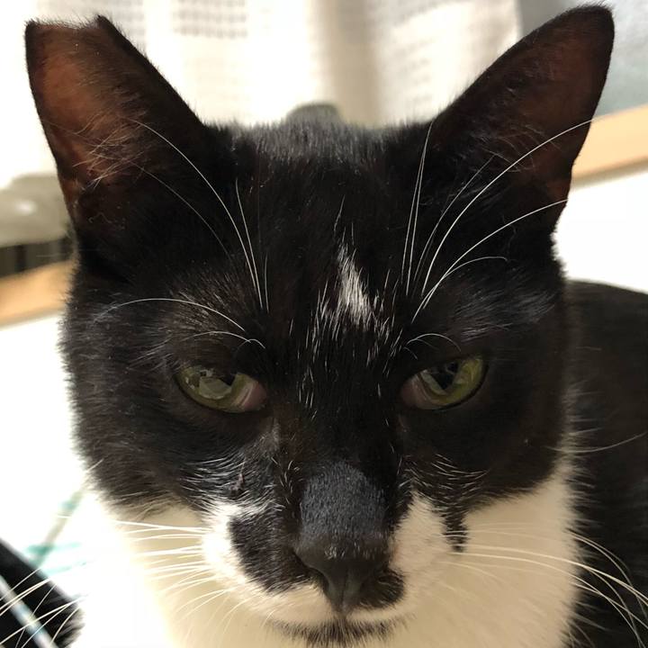 7b14ec7e 6522 432a 88e3 6f8f87a0c6f1 1530930104664