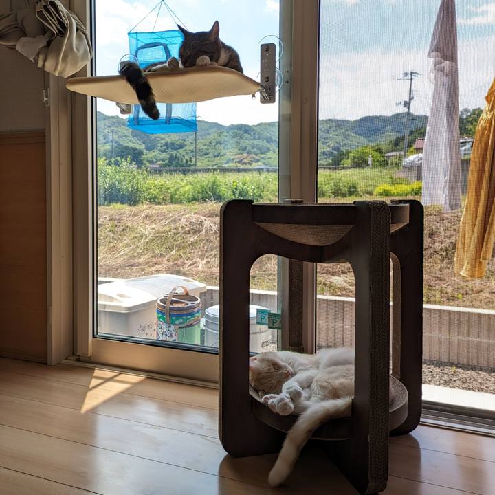 7b1529b9 de16 4680 9303 c55cfd3f1150 1685928902988