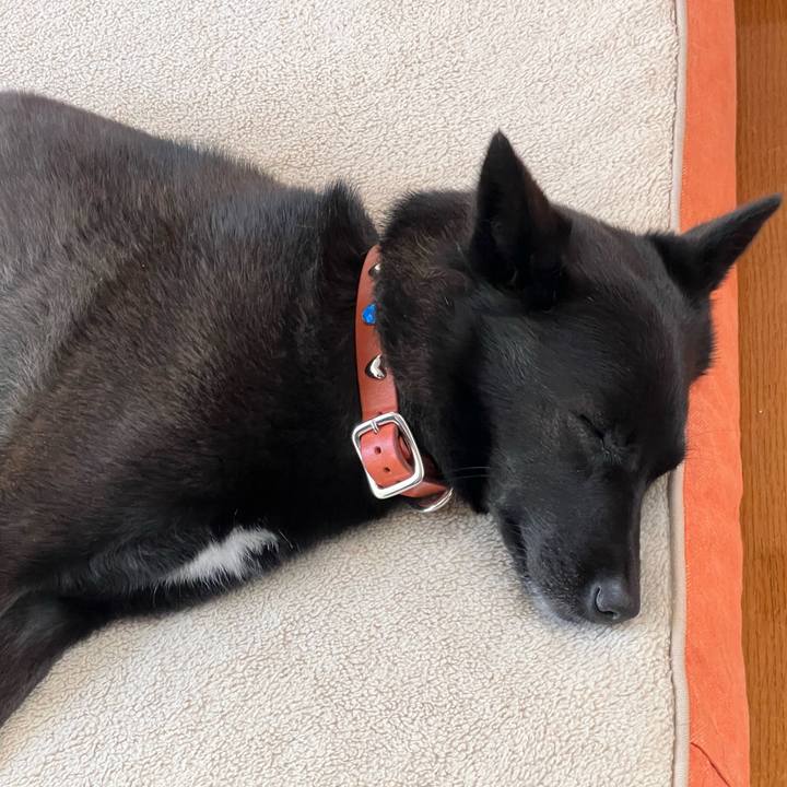 7b152a96 d056 4885 9f91 c5c1122b6209 1638577802746