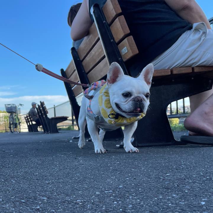 7b153aa2 0e65 41da 8c79 140c137639f7 1754002671717