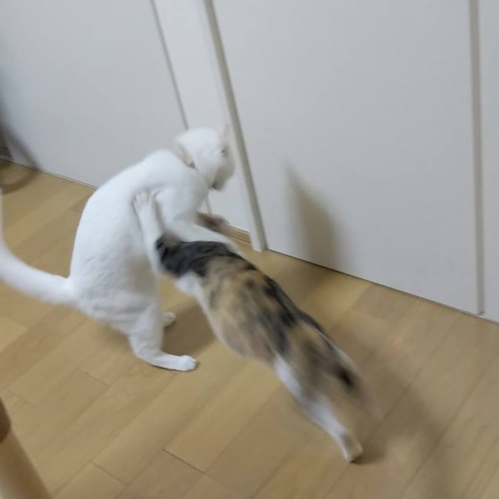 7b1557b0 6da9 4337 9b67 3e0756496192 1629622849379