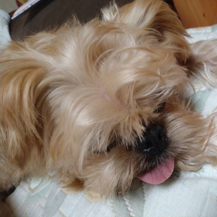 7b159b84 132b 4acc 8101 9f7f68e105d7 1603503718409