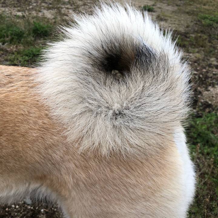 7b159c0f e692 47cc 8d0e cfd5cd41f975 1621946503389