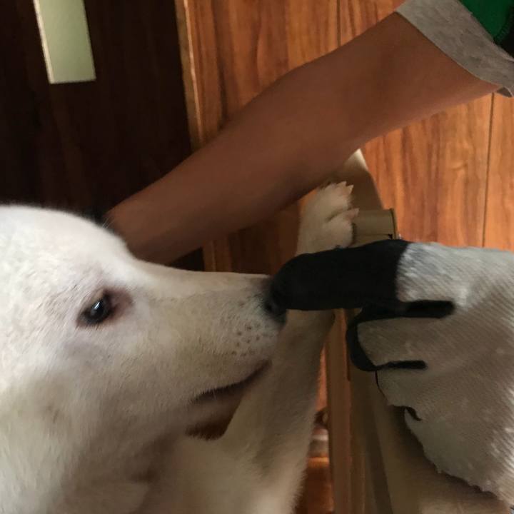 7b15df24 f45a 4ee8 a441 089362476d08 1536395605988