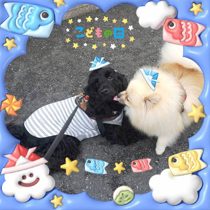 7b1628f6 3f8d 47a6 9f60 47d4f2526463 1683444761500