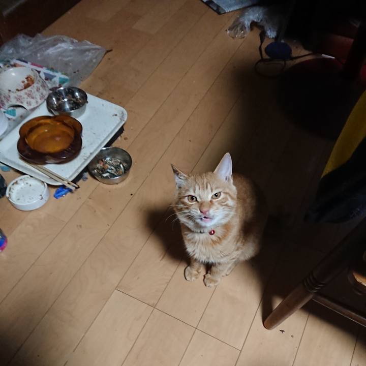 7b162f9a 03b0 4b64 a3b5 e338060d66be 1636576421559