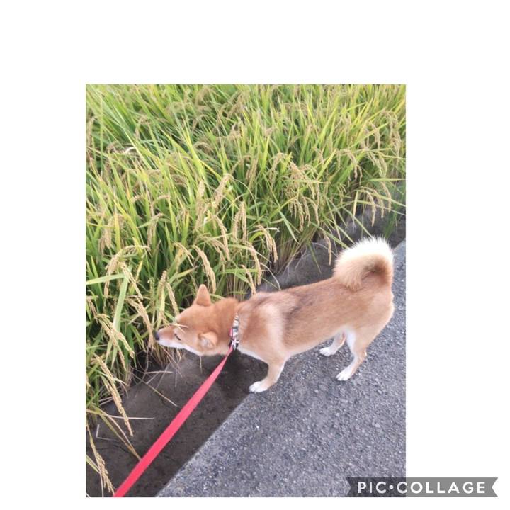 7b16383a fa44 46bb 9c8c fc5dea46d99a 1664059301115