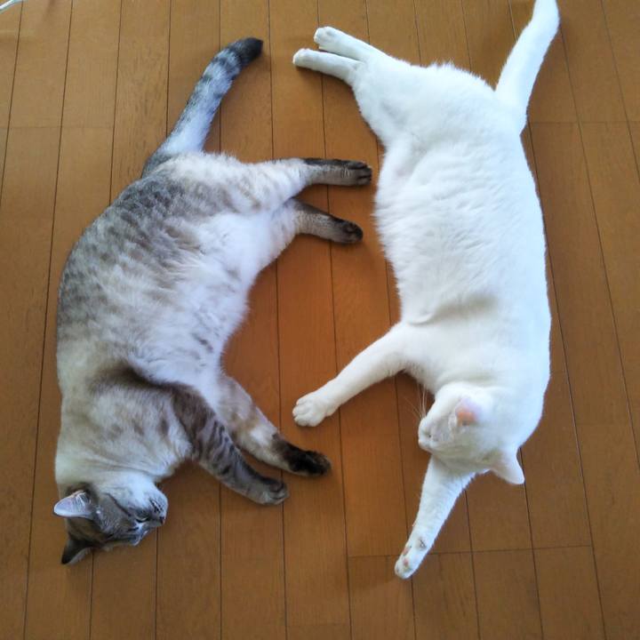 7b16494a 3e5b 4abb a017 dd6c1ff659c8 1532649035076