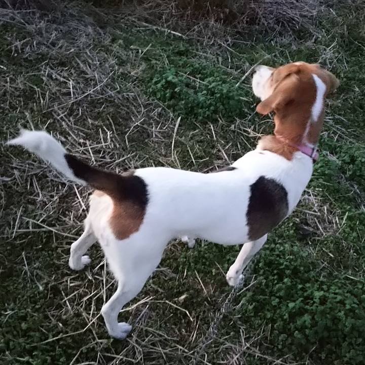 7b169f93 360f 4158 8110 bac7e7179270 1581337747790