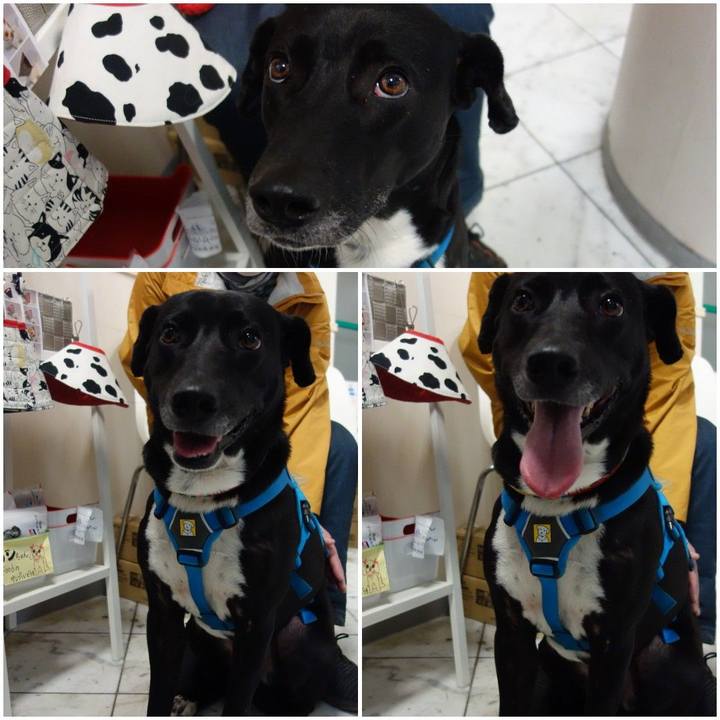 7b16a393 ca09 481a 9d52 70bac4822672 1615028386663