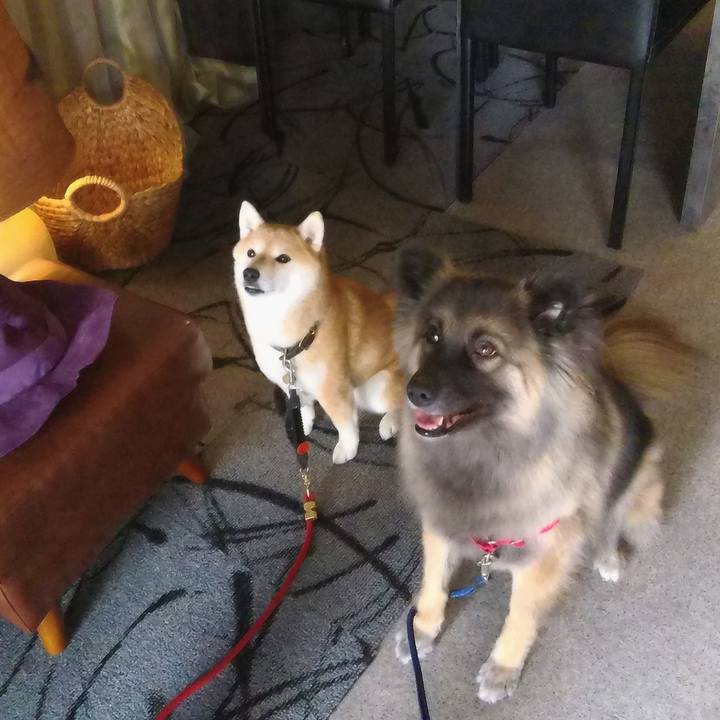 7b16ac87 47e7 4e9d 9bdb 8579e2412645 1760155363563