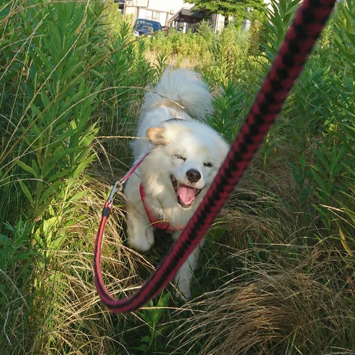 7b16b54b 7073 43fb ac50 b58557e8698c 1533353516116