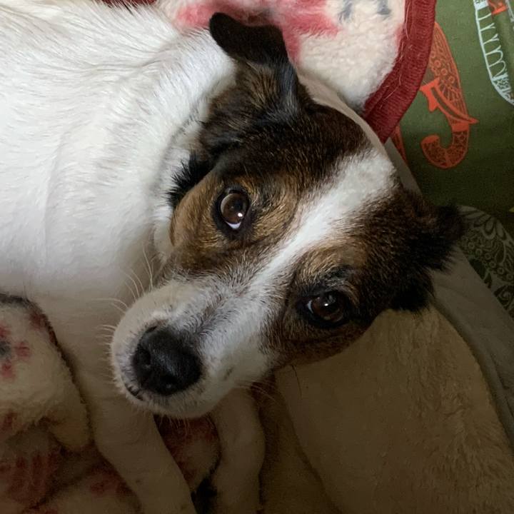 7b16b9bc a038 4de7 b276 f35d111d44b3 1579266768547