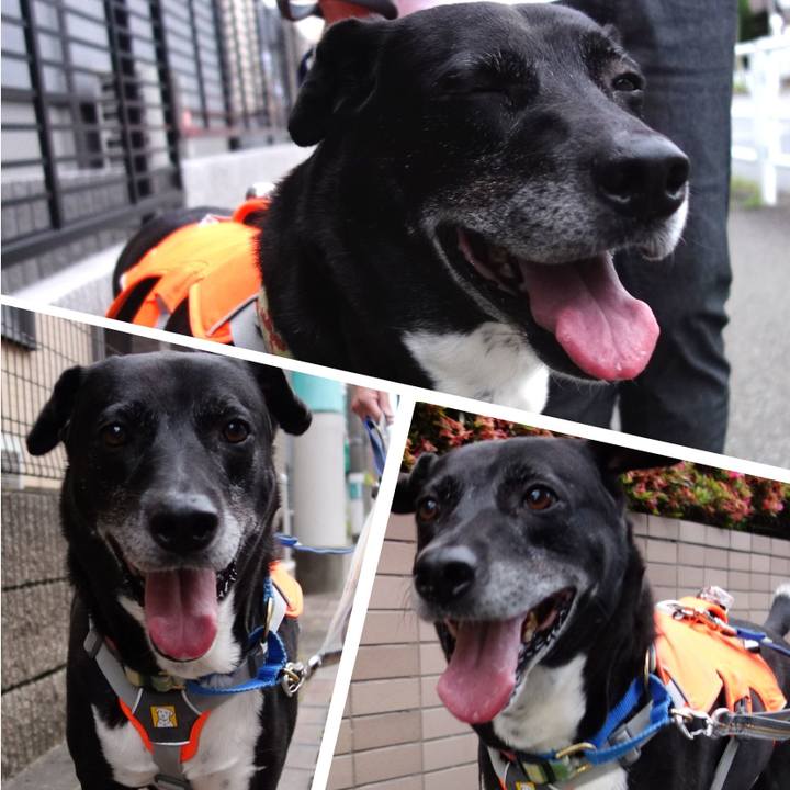 7b16c6d6 5dbb 4558 b817 93f6e1b6b1e8 1717928293482