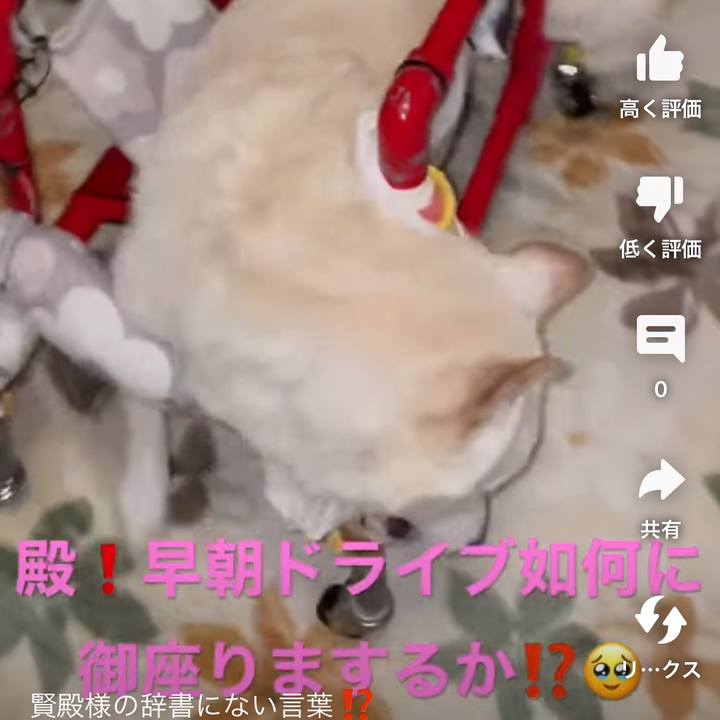 7b16d474 c124 4ae6 9566 717f93c29422 1675546402158