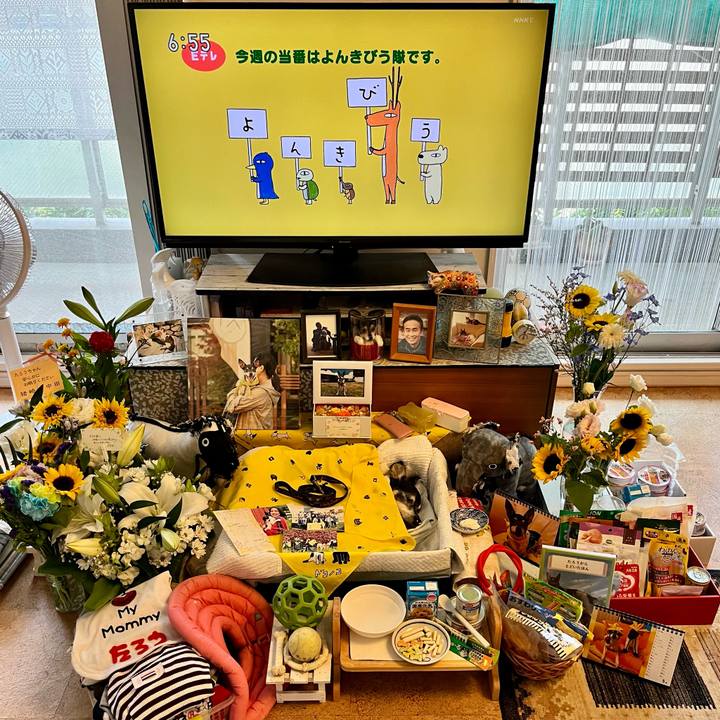 7b16f6a0 8ee5 420c ac3b f19f4f4d1541 1659650238492