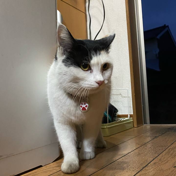 7b16fa2e c575 41d3 9da7 cfc972fea88a 1641852689232