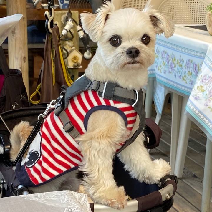 7b170c1b 4cb6 4e82 b4fe d86b5295bb64 1584789972531