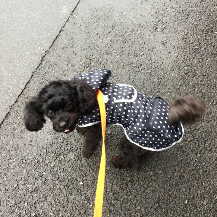 7b171994 f630 474d a6c7 ea59aef85f8c 1520571252816