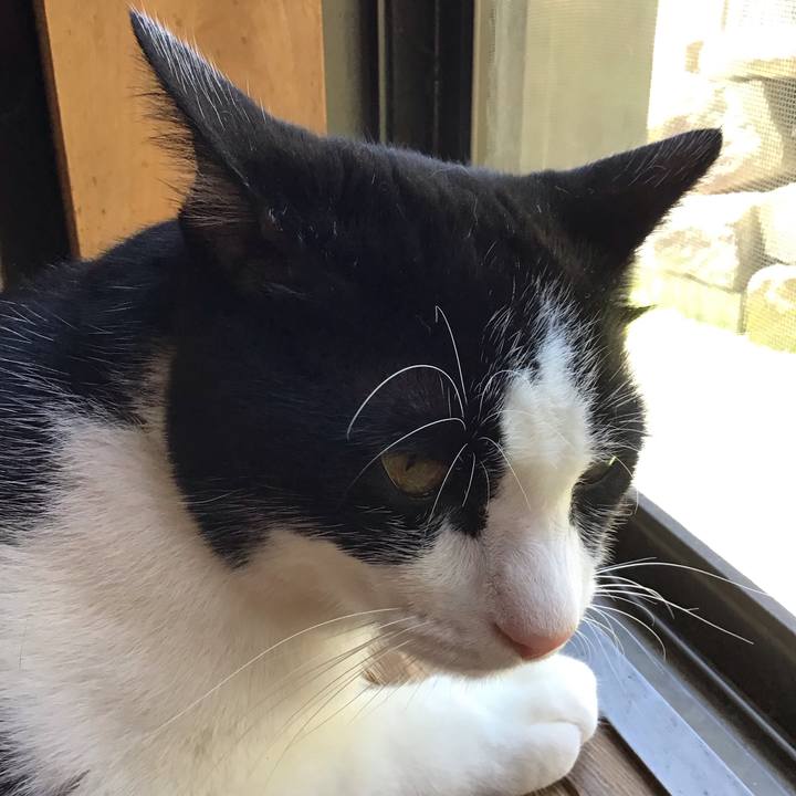 7b171b08 ffed 47f6 b17b c71d90a12539 1690705701311