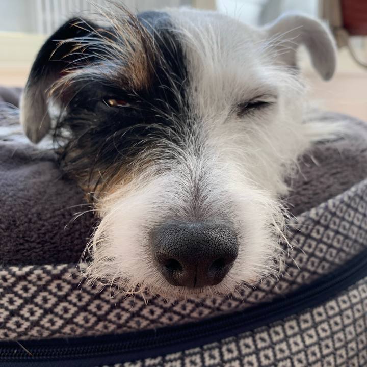 7b171e2c 112f 4543 9f52 02acb125e424 1636517765983