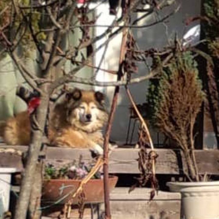 7b171f5a 837c 4c03 bc4f 3219aff611b0 1603944061401