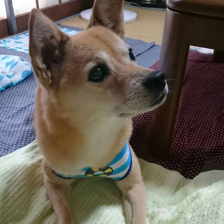 7b173293 e3bc 478f 8d92 c5b2ebf000a4 1542526774832