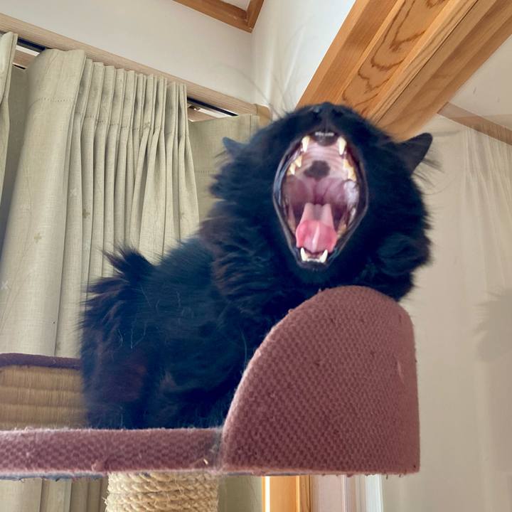 7b1760bc 7307 49c1 969a 7fbe8ff09934 1742531361781