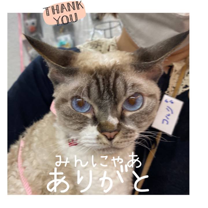 7b1762f1 fbf1 43be bb29 62bd77297846 1665439119178