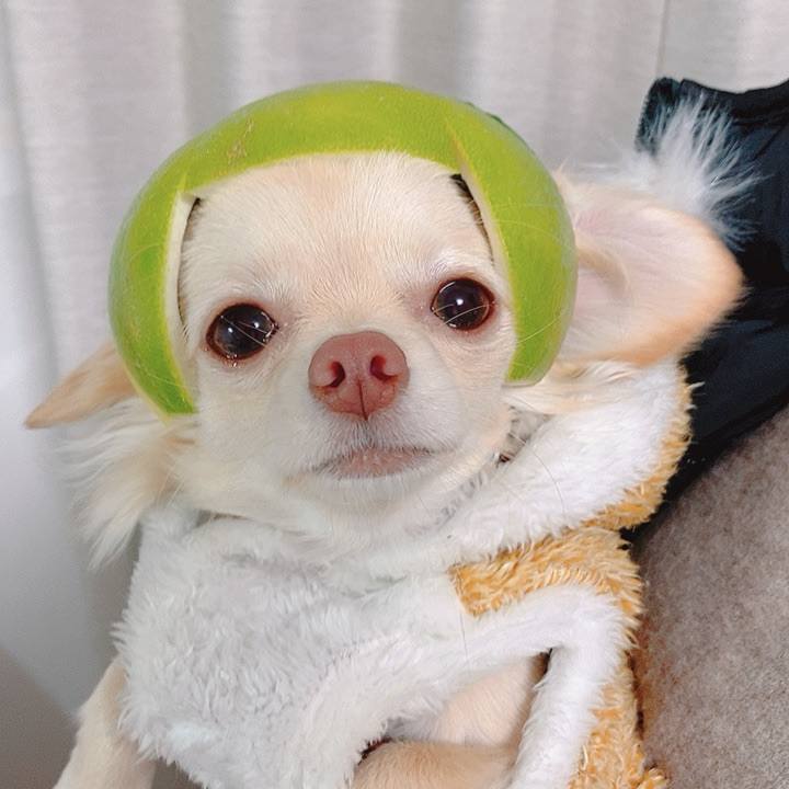 7b176698 0ef5 4f85 a269 6044e534c192 1609677677244