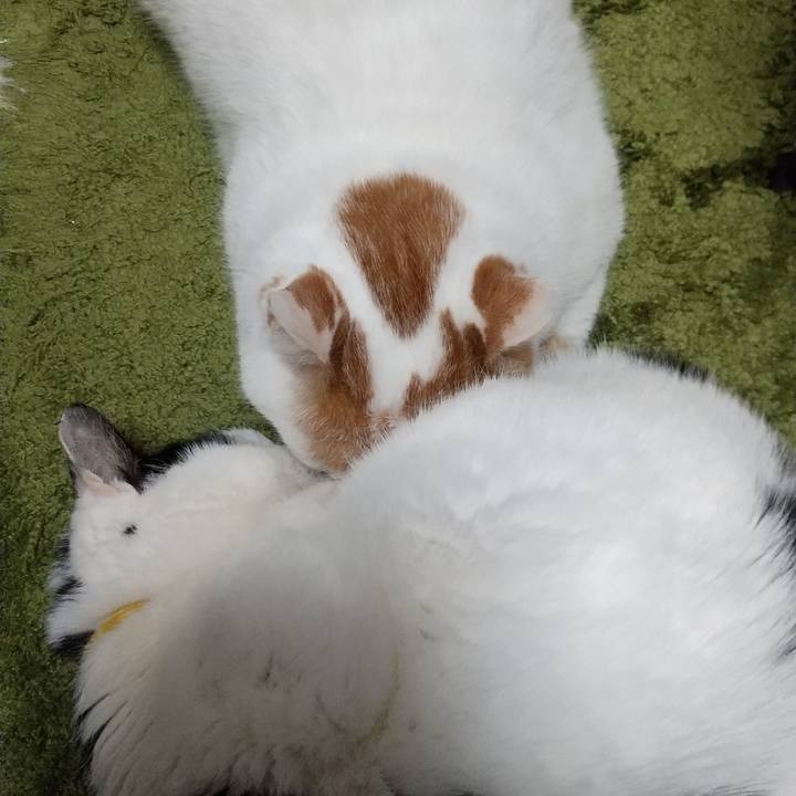 7b176f5b d9bb 4e6f 834e 1c9555a87aa2 1712990796383