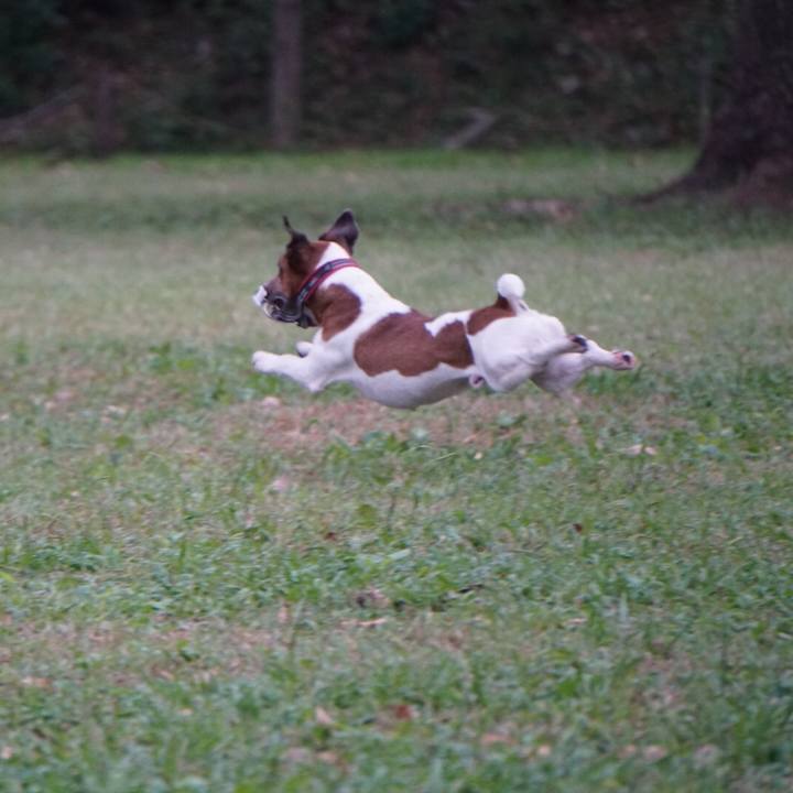 7b17a287 15b3 40e5 9451 3eb28c8917d5 1571871198942